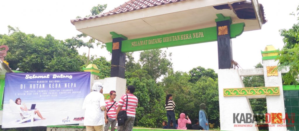 Hutan Kera Nepa