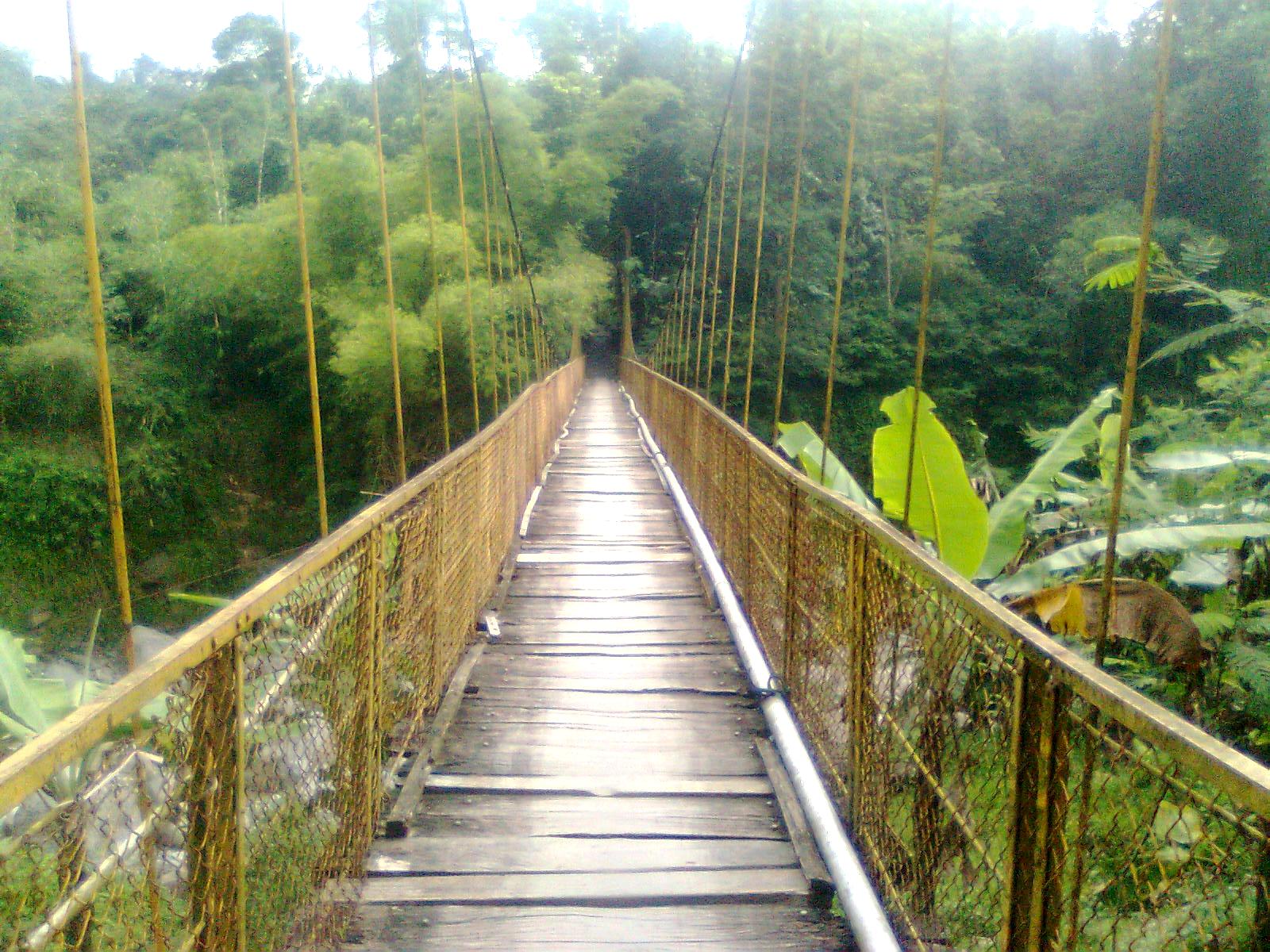 Kondisi Jembatan Gantung Cikeruh Desa Pasirayu / Foto : www.pasirayu.desamembangun.or.id