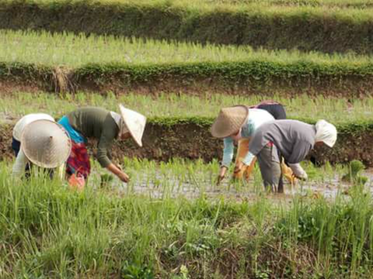 Kampung Malang Nengah