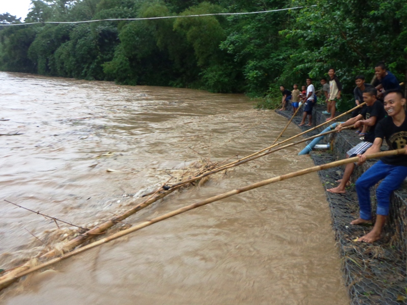 Warga Grumbul Kalibeber Desa Darmakradenan beramai- ramai mencari kayu bakar saat banjir datang, Senin (02/05) . Miftah Ahmad untuk Kabar Desa