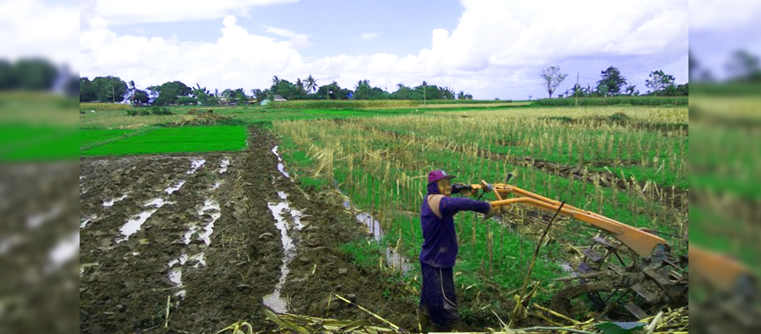 petani-takalar