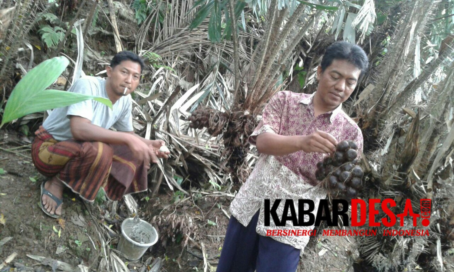 Petani Salak di Caringin, Bogor. (foto Muhayat)