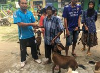 Tingkatkan Kesejahteraan Warga, Desa Sumberjo beri Bantuan Kambing