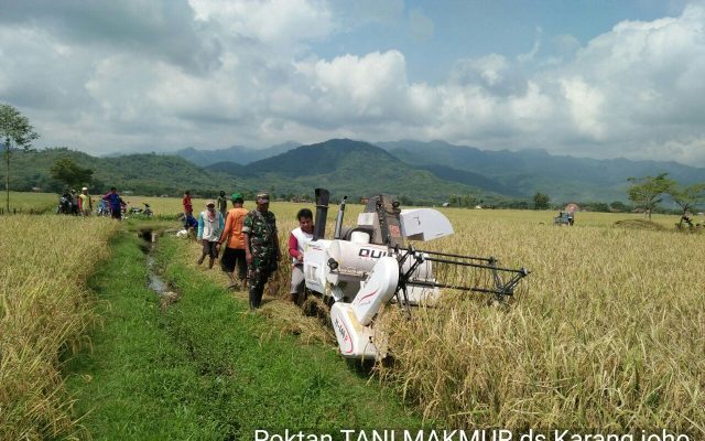 Poktan Tani Makmur Desa Karangjoho