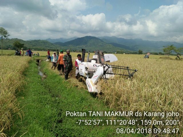 Poktan Tani Makmur Desa Karangjoho