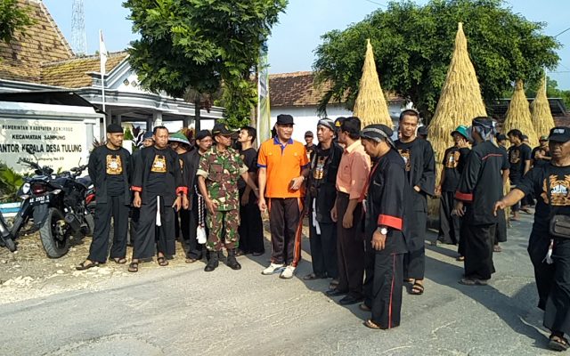Tulung Organik Festival