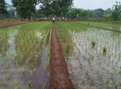 IMG_20201231_204103-75912467