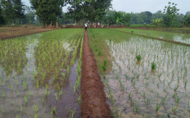 IMG_20201231_204103-75912467